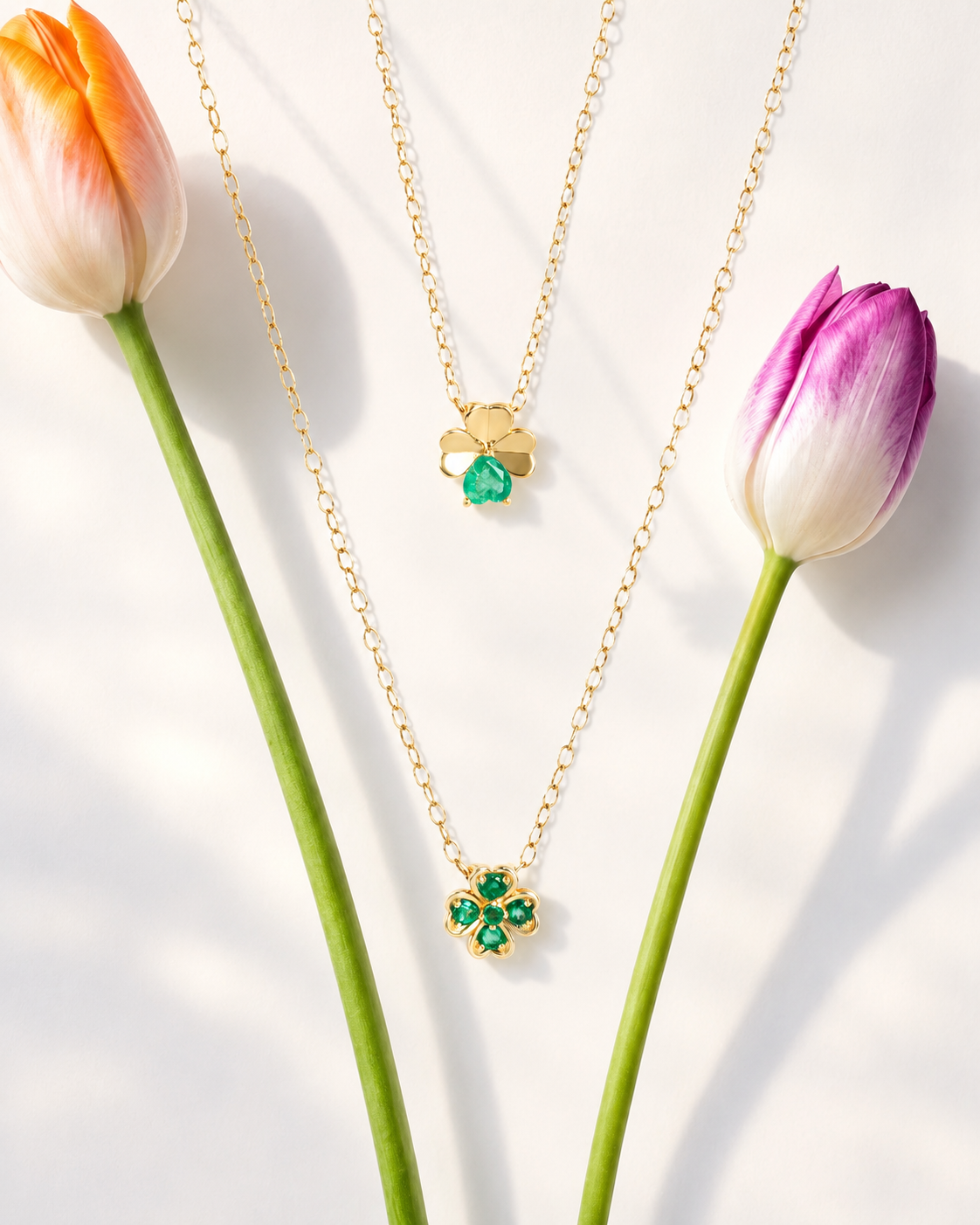 10% off your first order when you sign up to the newsletter