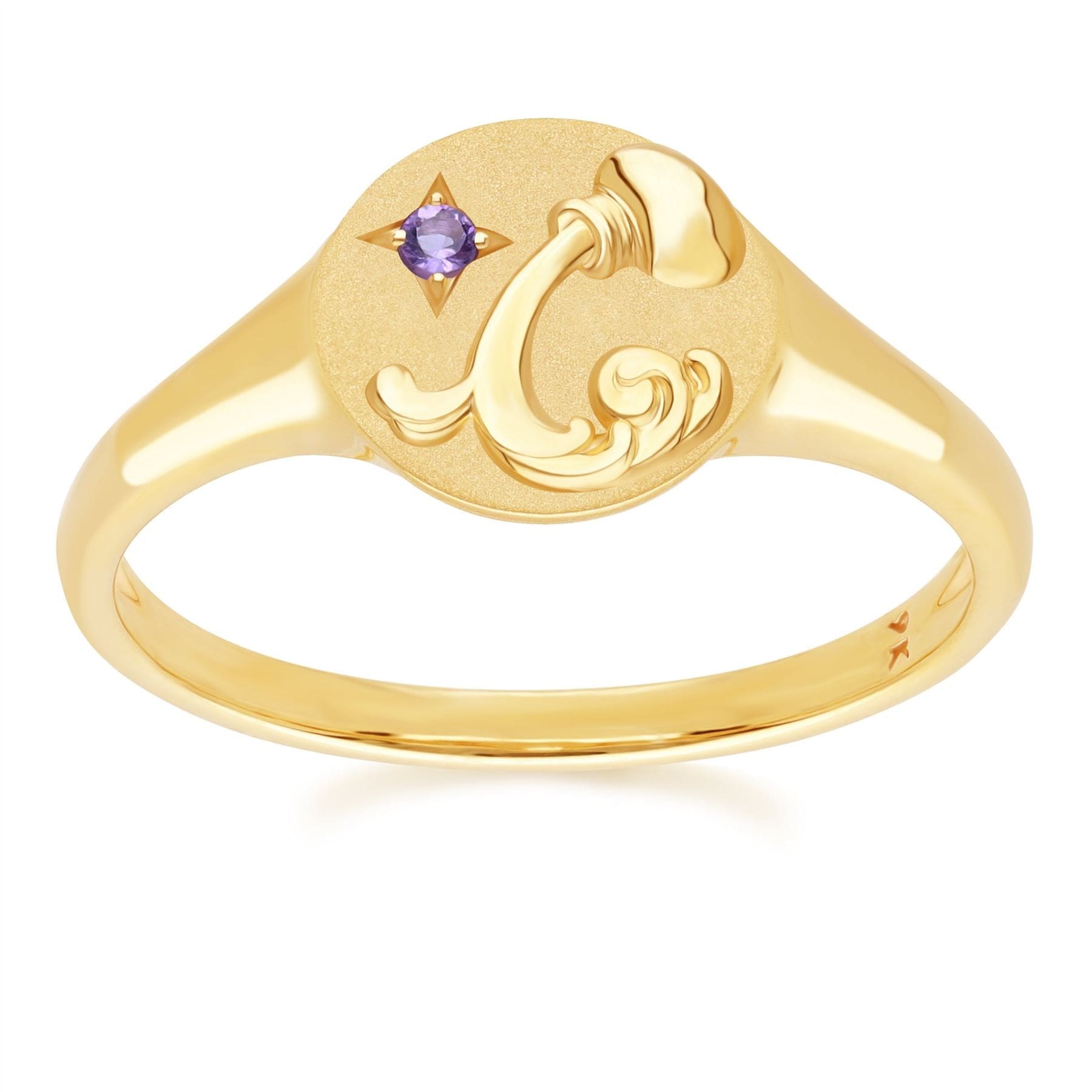 Zodiac Amethyst Aquarius Signet Ring In 9ct Yellow GoldFront  135R2080019