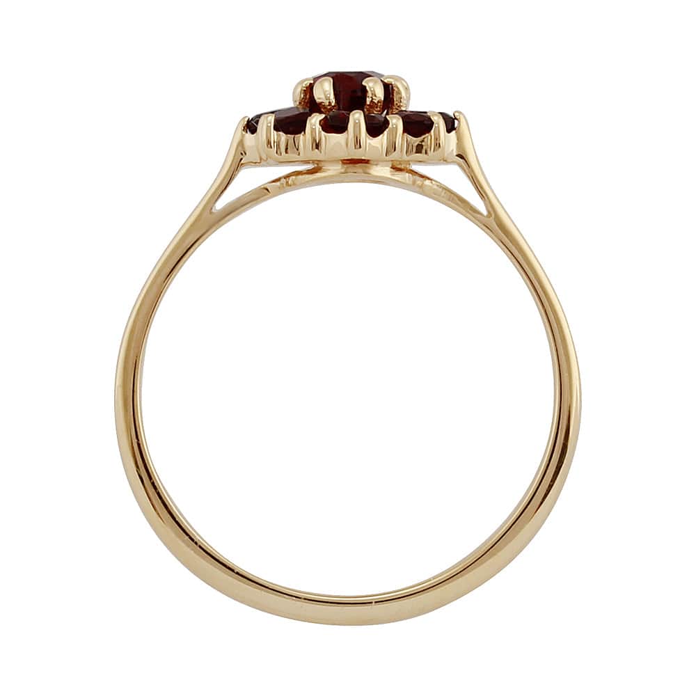 186R0009039 9ct Yellow Gold 0.81ct Natural Garnet Classic Oval Cluster Style Ring 3