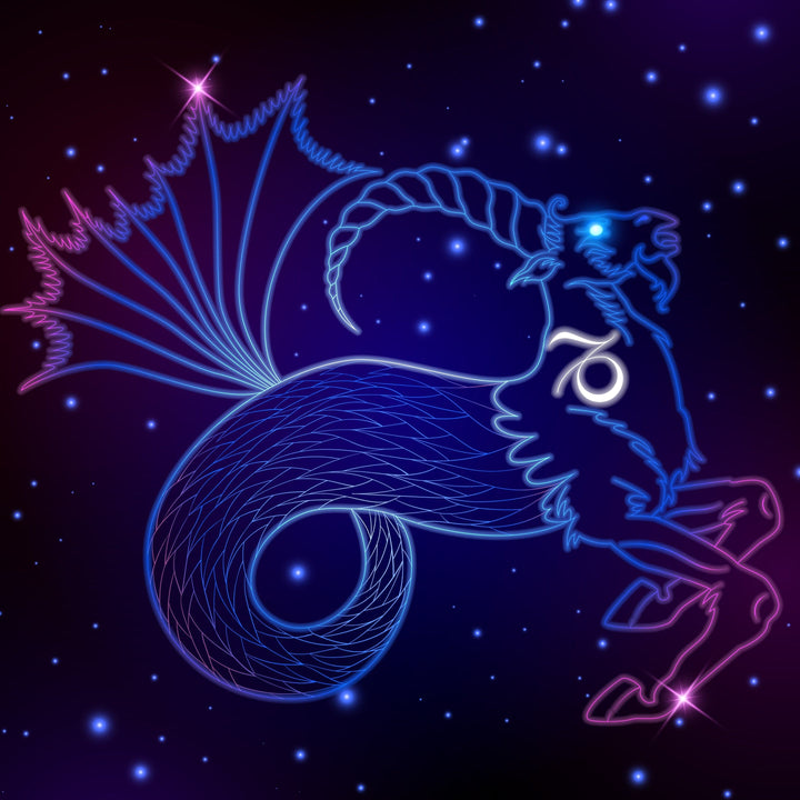 135P2004019nochain Garnet Capricorn Zodiac Charm in 9ct Yellow Gold 2